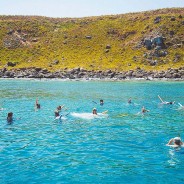 Mergulho livre e profissional no Parque Marinho de Abrolhos