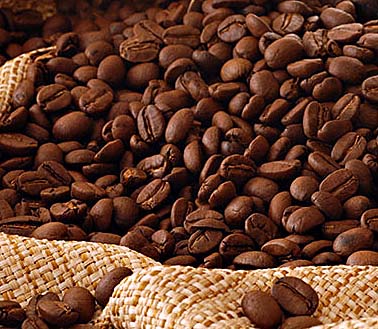 Safra de café recua e previsão é de 45,5 milhões de sacas