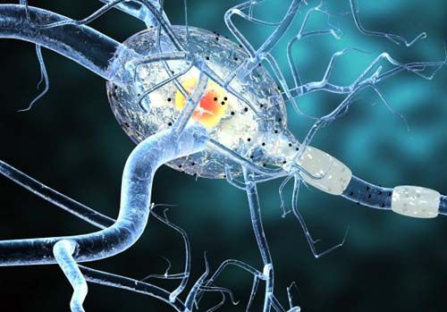Sintomas neurológicos alertam para diagnóstico da esclerose múltipla