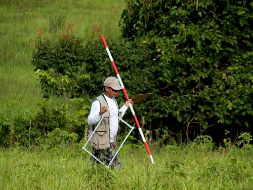 Inventário Florestal avança na Amazônia