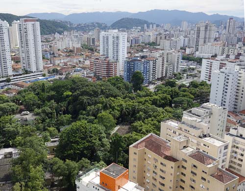 Audiência Pública debaterá hoje arborização urbana em Santos