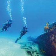 Incrível mundo subaquático nas Ilhas Bahamas