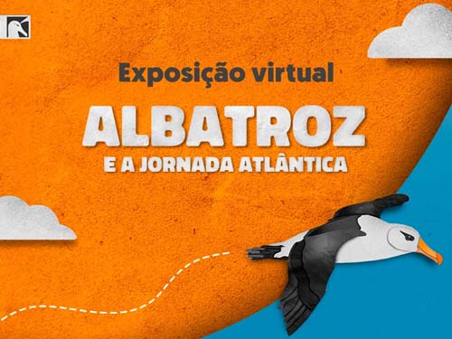 Imersão virtual na biologia e desafios de conservação do albatroz