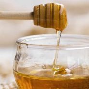 Benefícios do mel para o organismo