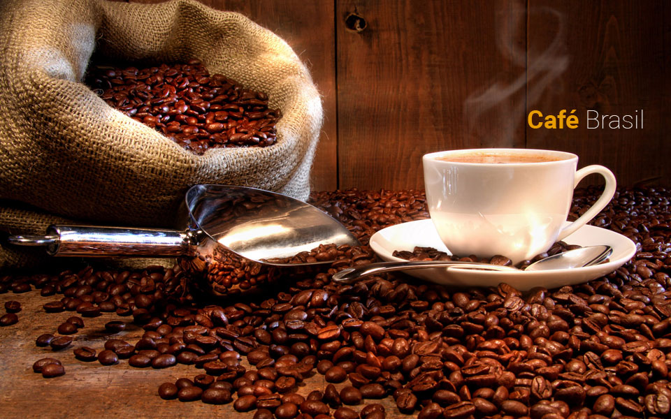Brasil poderá ter a segunda maior produção de café da história