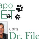 Mais acidentes com escorpiões