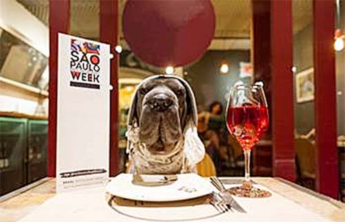 Pets são bem-vindos na 25° edição da São Paulo Restaurant Week
