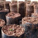 Dez projetos disputam Prêmio Sociedade Sustentável Sumitomo Chemical