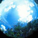 Em debate uma economia circular e azul para o Brasil e Comunidade Atlântica