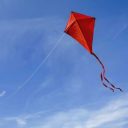 Pipas causam 756 interrupções de energia em cidades da Baixada Santista