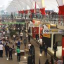 Festival automotivo em Interlagos