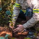 Programa de recuperação ambiental abrange 47 municípios do estado