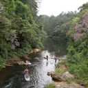 Polo de Ecoturismo de São Paulo terá projeto de desenvolvimento sustentável