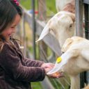 Curta o Dia das Crianças com atividades em contato direto com a natureza
