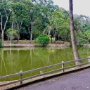 Horto Florestal programa atividades para comemorar 127 anos