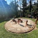 Sesc São Paulo abre inscrições para o Oba! Férias, que acontece em julho