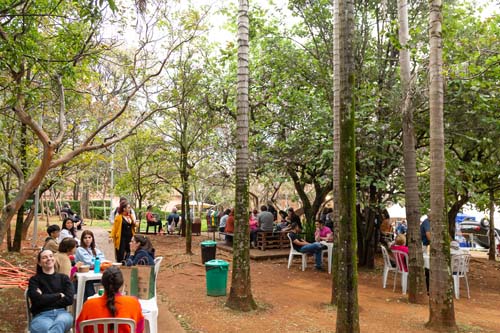 Festival Criativo movimenta Parque Ibirapuera no final de semana