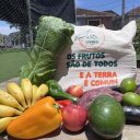 Santos sedia Festival de Agroecologia, Ecoturismo e Economia Solidária