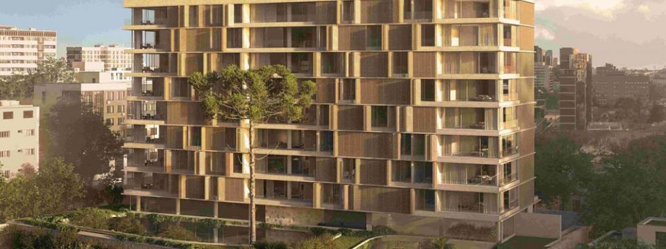 Projeto preserva araucária