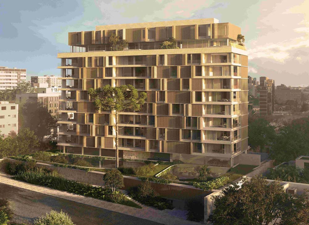 Projeto preserva araucária