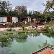 Hospitalidade, arte, gastronomia…